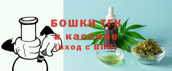 индика Верхнеуральск