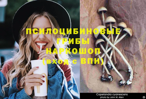 jwh Богданович