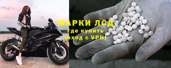 эйфоретик Бородино